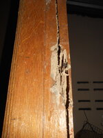 DSCN8828.JPG