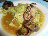 DSCN0671.JPG