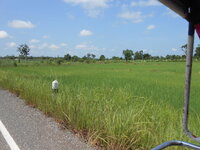 DSCN1242.JPG