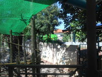 DSCN9895.JPG