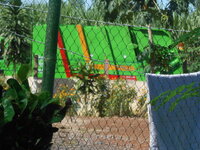 DSCN9903.JPG