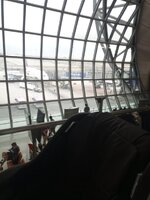 IMG_20240313_085844_088.jpg