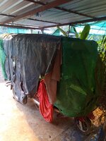 IMG_20240313_172555_400.jpg