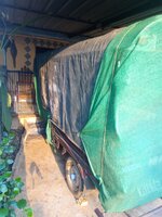 IMG_20240313_172525_277.jpg