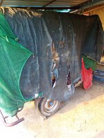 IMG_20240313_172535_353.jpg