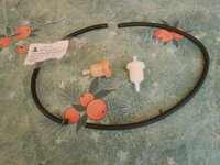 DSCN9295.JPG