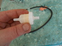 DSCN9294.JPG