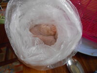 DSCN9256.JPG