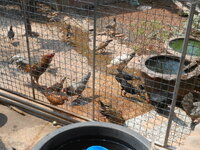 DSCN9270.JPG