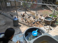 DSCN9269.JPG
