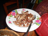 DSCN9475.JPG