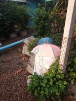 IMG_20240313_172657_055.jpg