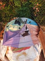 IMG_20240313_172643_061.jpg