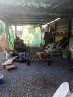 IMG_20240313_172746_958.jpg