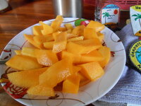 DSCN9297.JPG