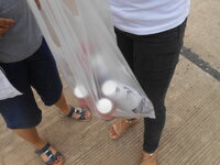 DSCN9508.JPG