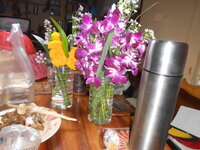 DSCN9450.JPG