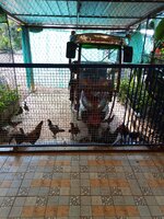IMG_20240318_161850_171.jpg
