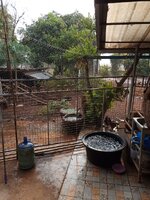 IMG_20240318_164154_214.jpg