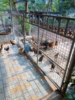 IMG_20240318_163951_575.jpg