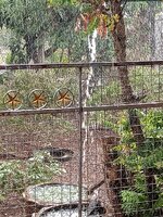 IMG_20240318_164215_138.jpg