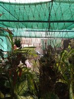 IMG_20240318_164509_439.jpg