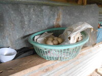 DSCN9546.JPG