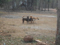 DSCN9513.JPG