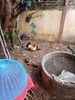 IMG_20240317_101026_339.jpg