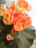 IMG_20190418_181757~2.jpg