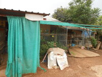 DSCN9567.JPG