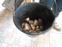DSCN9558.JPG