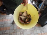 DSCN9559.JPG