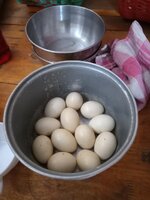IMG_20240320_120211_536.jpg