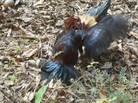DSCN9653.JPG