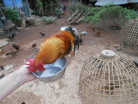 DSCN9570.JPG