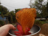 DSCN9573.JPG
