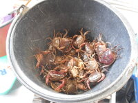 DSCN9587.JPG