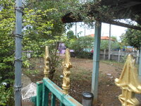 DSCN9584.JPG