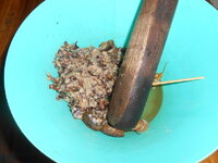 DSCN9595.JPG