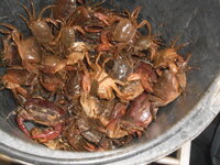 DSCN9586.JPG