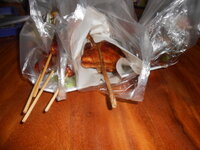DSCN9439.JPG