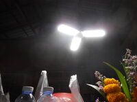 DSCN9453.JPG