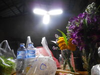 DSCN9452.JPG