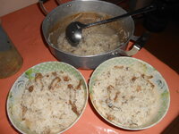 DSCN9466.JPG