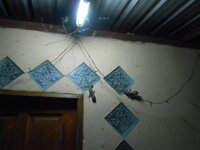DSCN9681.JPG