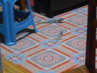 DSCN9695.JPG