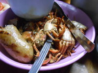 DSCN9777.JPG