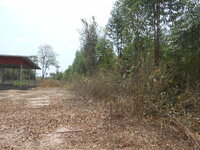 DSCN9702.JPG