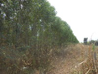 DSCN9704.JPG